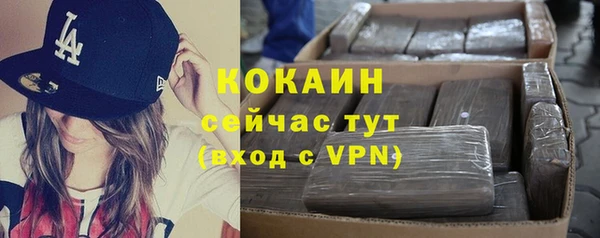 mdpv Вяземский